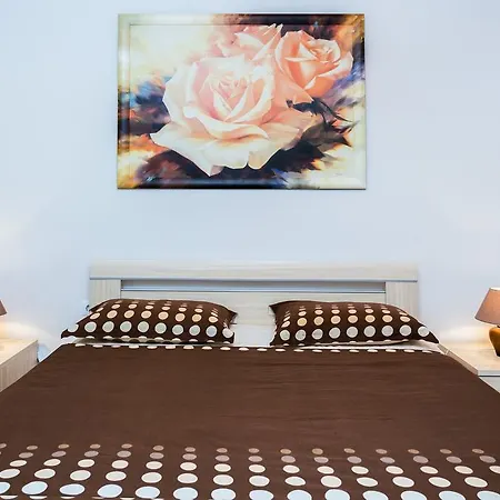 Nice Apartment
